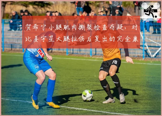贺希宁小腿肌肉撕裂检查存疑，对比姜宇星大腿拉伤后复出的完全康复案例