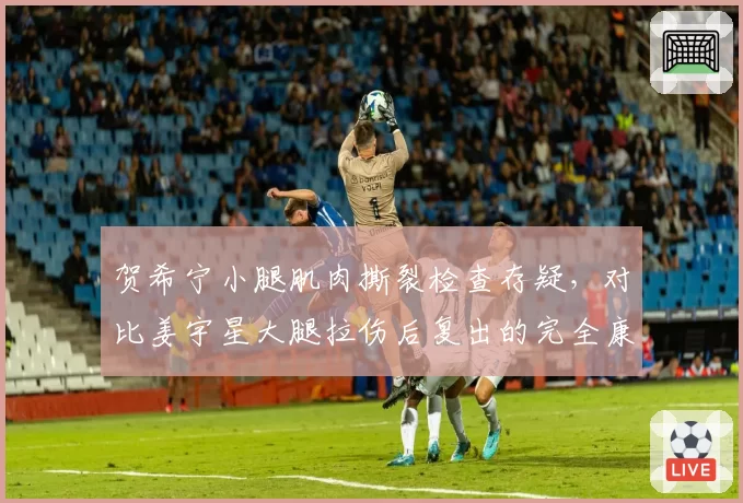 贺希宁小腿肌肉撕裂检查存疑,对比姜宇星大腿拉伤后复出的完全康复案例