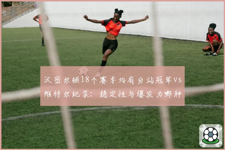汉密尔顿18个赛季均有分站冠军vs维特尔纪录:稳定性与爆发力哪种更珍贵?