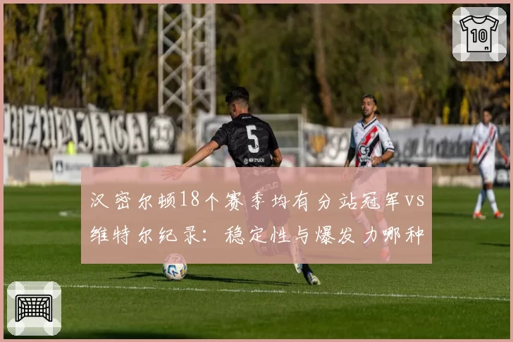 汉密尔顿18个赛季均有分站冠军vs维特尔纪录：稳定性与爆发力哪种更珍贵？
